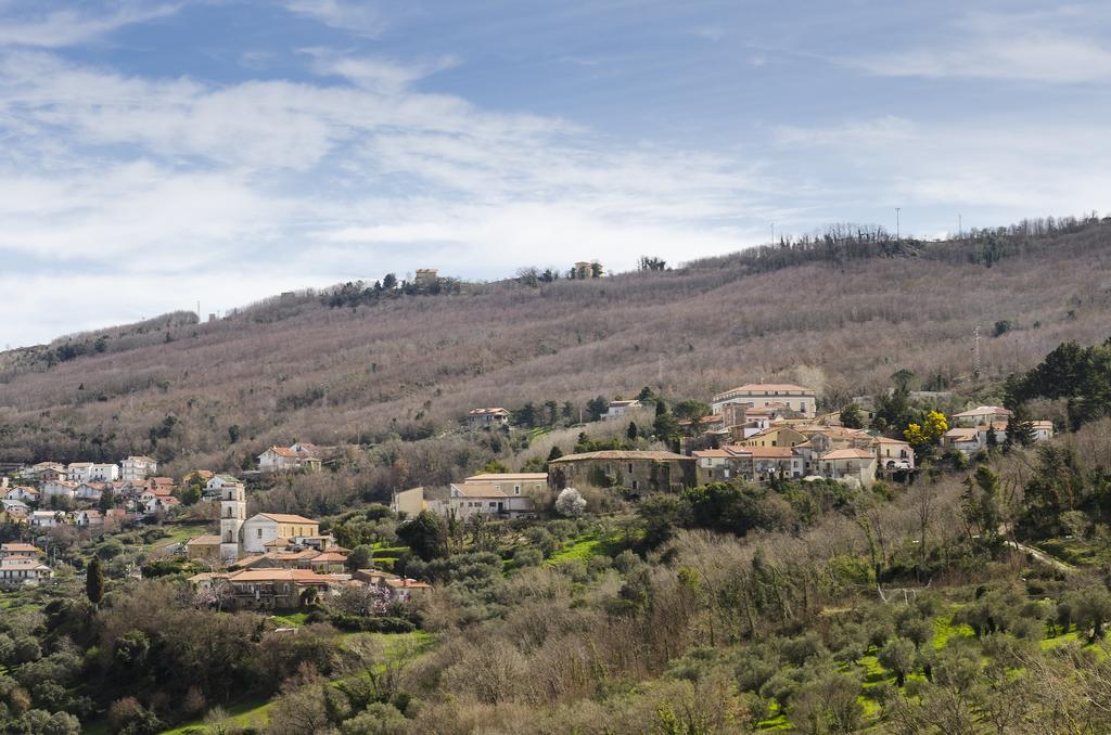 Bed and Breakfast Al Casale Dei Nonni à Laureana Cilento Extérieur photo